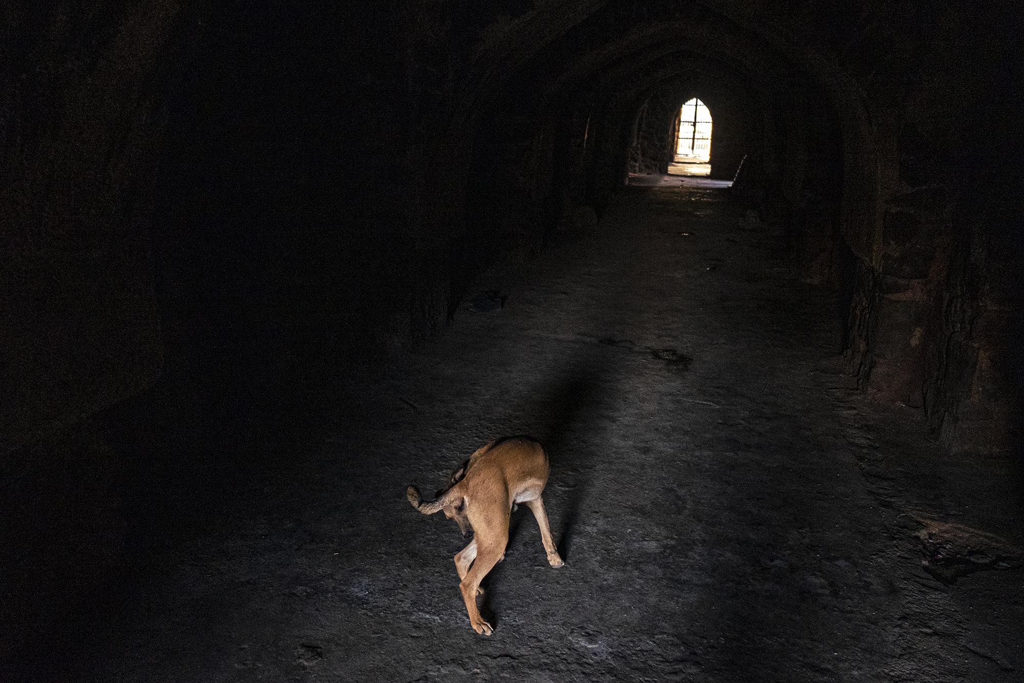 Folded letters pressed into the ruins
